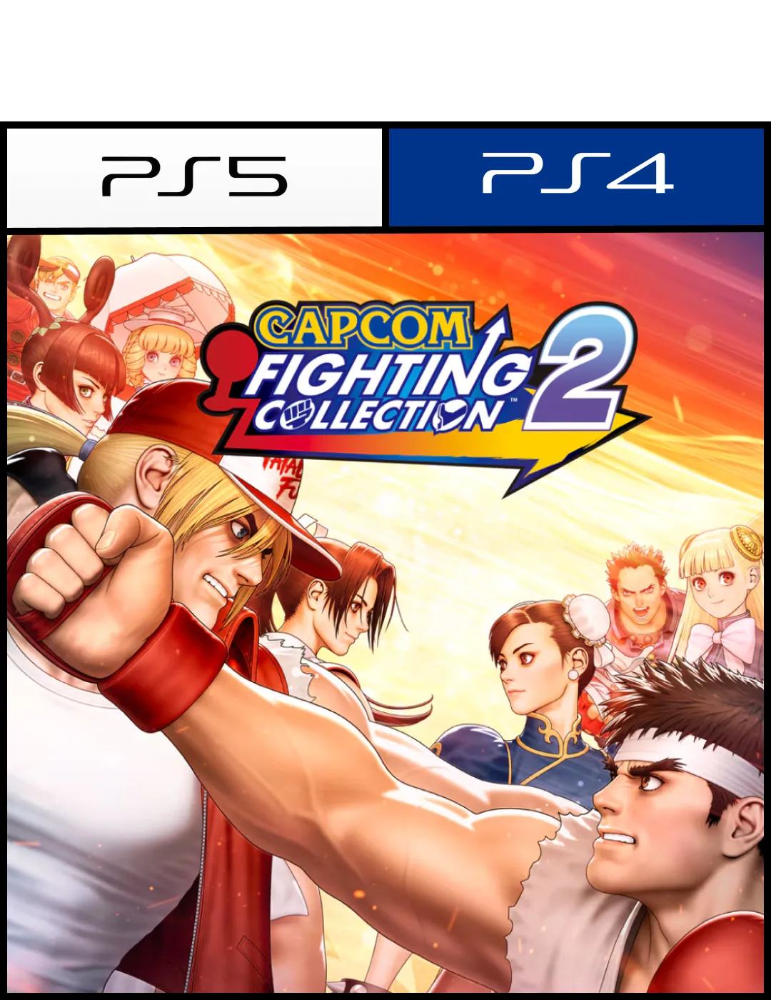 Capcom Fighting Collection 2 para PS4 o PS5 - Digital